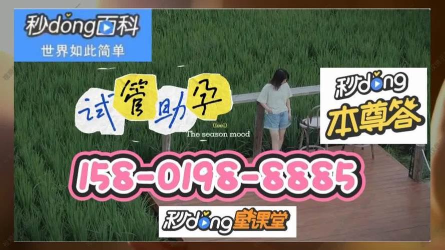 借卵试管代怀合法公司(借卵试管代怀合法公司：助您实现梦想)