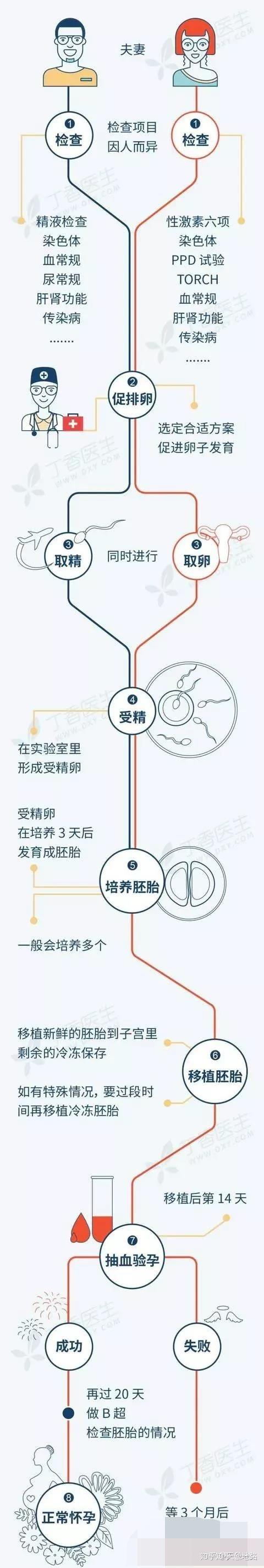 借卵生子是什么意思_借卵生子的含义是什么？