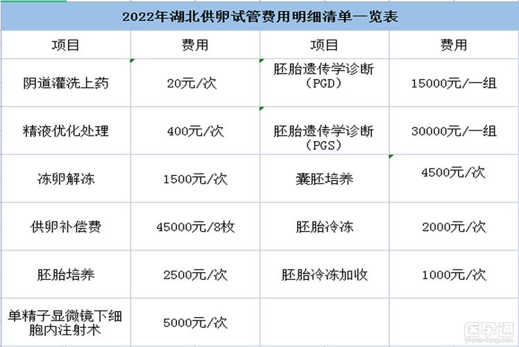借卵试管代怀费用表_借卵试管代怀费用表详解