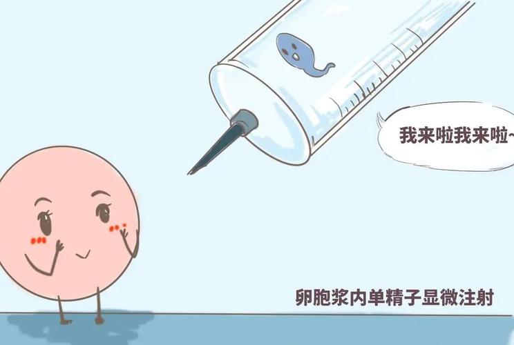 代生男孩价格(代生男孩价格大揭秘)