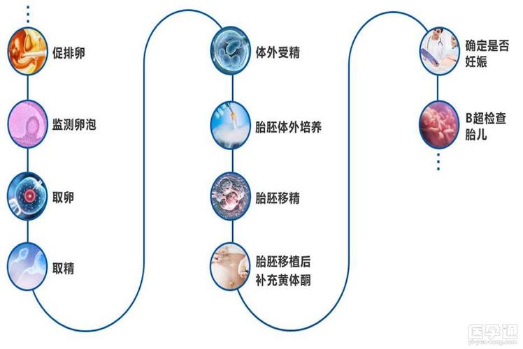 借卵试管代怀产子(借卵试管代怀产子:新生命的奇迹)