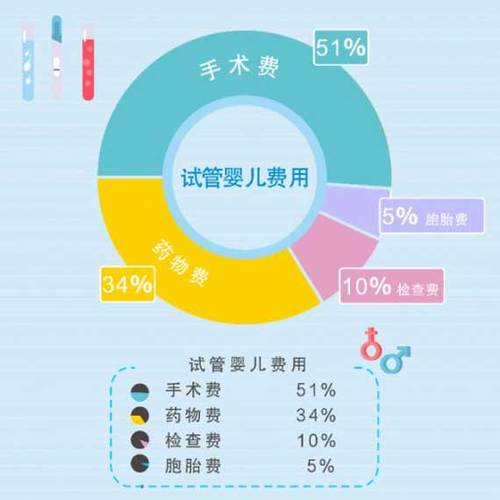 国内供卵试管代怀有吗-国内供卵试管代怀有:解读条件、流程和风险