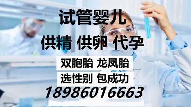 国内供卵代生子【国内供卵代生子:伦理、法律与实践】