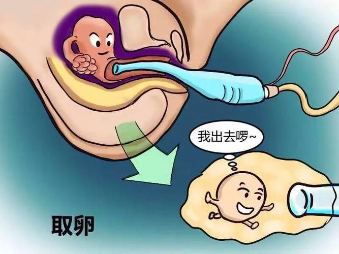 借卵试管代怀违法吗(借卵试管代怀：法律底线何在？)
