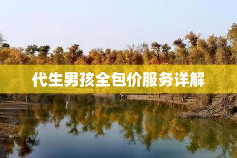 代生男孩中介【代生男孩中介：选择理想的宝贝男孩】